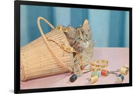 Kitten in Sewing Basket-null-Framed Art Print