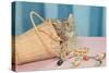 Kitten in Sewing Basket-null-Stretched Canvas