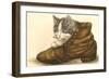 Kitten in Shoe-null-Framed Art Print