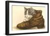 Kitten in Shoe-null-Framed Art Print