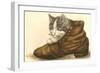 Kitten in Shoe-null-Framed Art Print