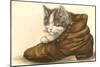 Kitten in Shoe-null-Mounted Art Print