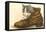 Kitten in Shoe-null-Framed Stretched Canvas