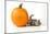 Kitten Laying Next to a Pumpkin-null-Mounted Photographic Print