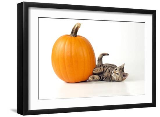 Premium Photographic Print, , large