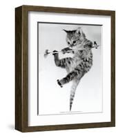 Kitten on a Clothes Line-Erik Parbst-Framed Art Print