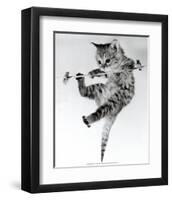 Kitten on a Clothes Line-Erik Parbst-Framed Art Print