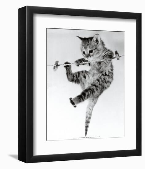 Kitten on a Clothes Line-Erik Parbst-Framed Art Print