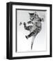 Kitten on a Clothes Line-Erik Parbst-Framed Art Print