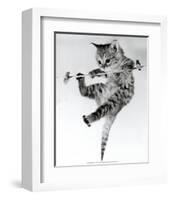 Kitten on a Clothes Line-Erik Parbst-Framed Art Print