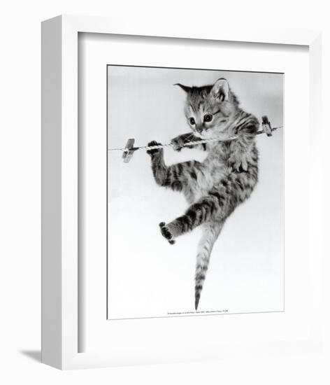 Kitten on a Clothes Line-Erik Parbst-Framed Art Print