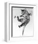 Kitten on a Clothes Line-Erik Parbst-Framed Art Print