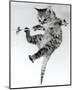 Kitten on a Clothes Line-Erik Parbst-Mounted Art Print