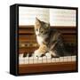 Kitten Playing on Piano-null-Framed Stretched Canvas