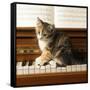Canvas Black