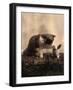 Kitten Playing with Canned Food-null-Framed Art Print