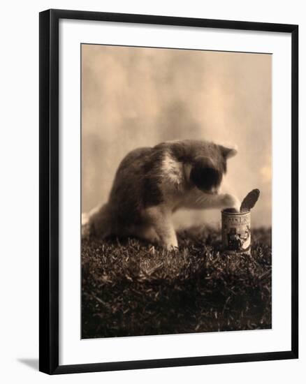 Kitten Playing with Canned Food-null-Framed Art Print