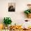 Kitten Playing with Canned Food-null-Mounted Art Print displayed on a wall