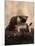 Kitten Playing with Canned Food-null-Mounted Art Print