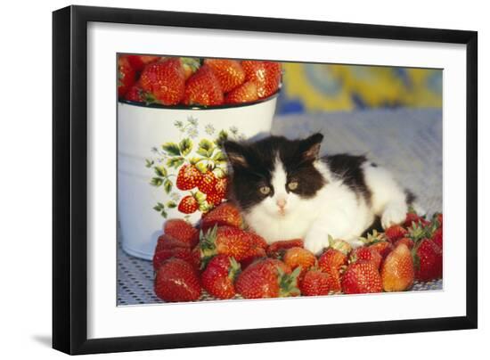 Photographic Print, , large