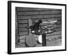 Kitten Trumpeter-null-Framed Photographic Print