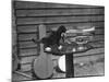 Kitten Trumpeter-null-Mounted Photographic Print