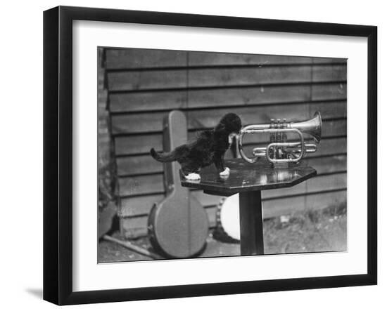Photographic Print, , large