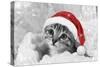 Kitten Wearing Christmas Hat-null-Stretched Canvas