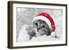 Kitten Wearing Christmas Hat-null-Framed Photographic Print