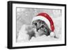 Kitten Wearing Christmas Hat-null-Framed Photographic Print