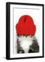 Kitten Wearing Red Hat over Eyes-null-Framed Photographic Print