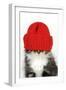 Kitten Wearing Red Hat over Eyes-null-Framed Photographic Print