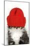 Kitten Wearing Red Hat over Eyes-null-Mounted Photographic Print