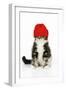 Kitten Wearing Red Hat-null-Framed Photographic Print