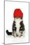 Kitten Wearing Red Hat-null-Mounted Photographic Print