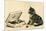 Kitten with Box of Chocolates-null-Mounted Art Print