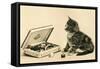 Kitten with Box of Chocolates-null-Framed Stretched Canvas