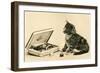 Kitten with Box of Chocolates-null-Framed Art Print