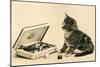 Kitten with Box of Chocolates-null-Mounted Art Print