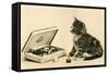 Kitten with Box of Chocolates-null-Framed Stretched Canvas