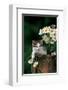 Kitten With Camomiles-null-Framed Art Print