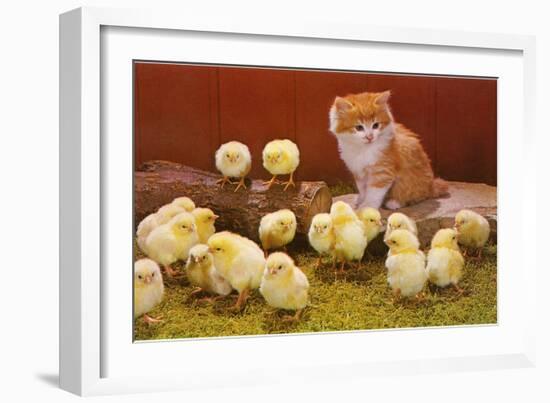 Kitten with Chicks-null-Framed Art Print