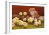 Kitten with Chicks-null-Framed Art Print