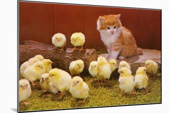 Kitten with Chicks-null-Mounted Art Print