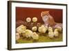 Kitten with Chicks-null-Framed Art Print