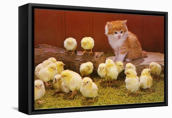 Kitten with Chicks-null-Framed Stretched Canvas