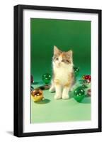 Kitten with Christmas Bulbs, Retro-null-Framed Art Print