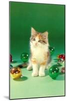 Kitten with Christmas Bulbs, Retro-null-Mounted Art Print