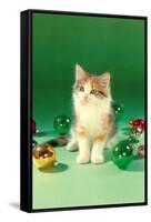 Kitten with Christmas Bulbs, Retro-null-Framed Stretched Canvas