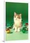 Kitten with Christmas Bulbs, Retro-null-Framed Art Print